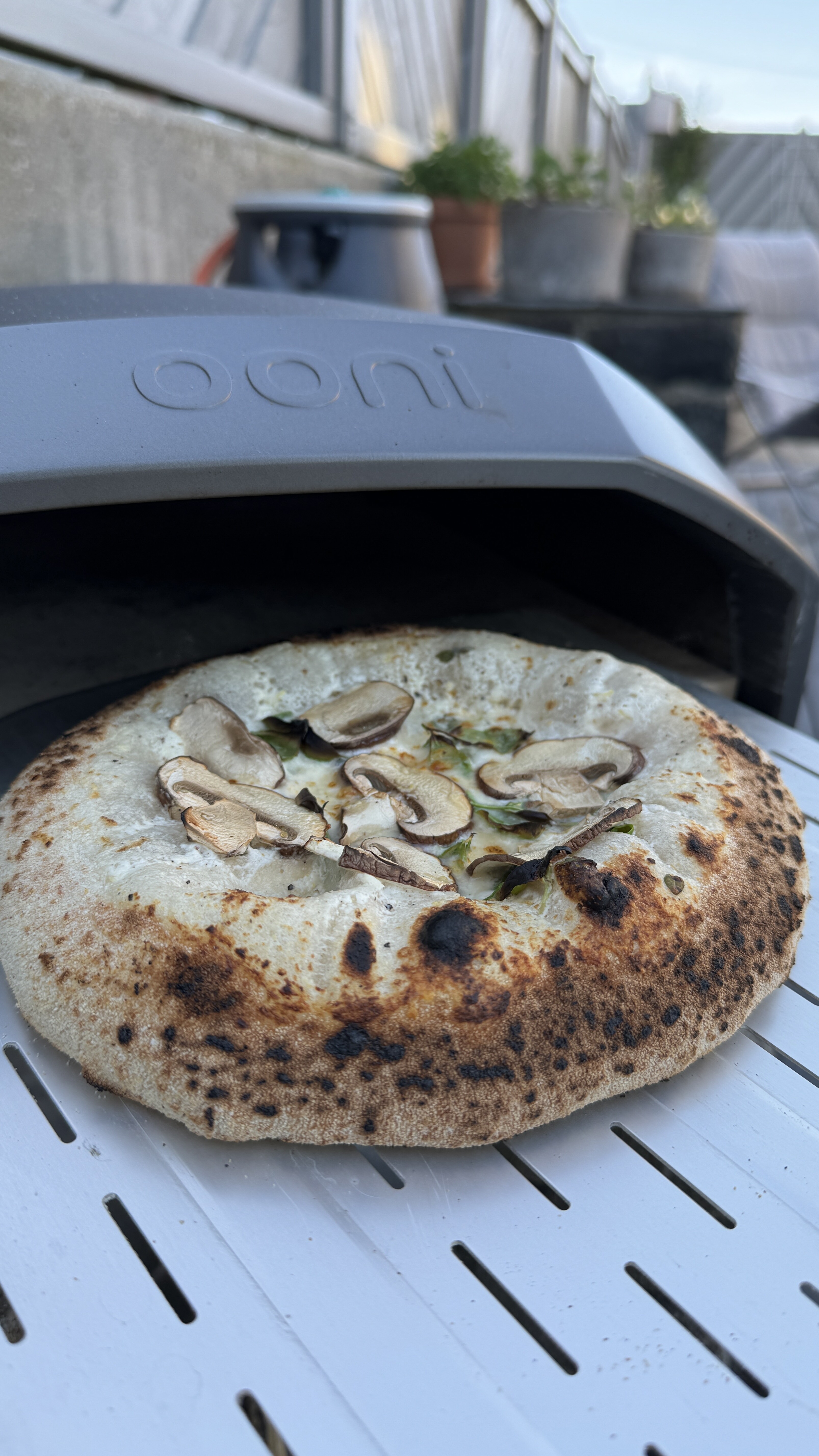 Pizza ut av pizzaovnen, før topping med parmaskinke og fersk mozarella
