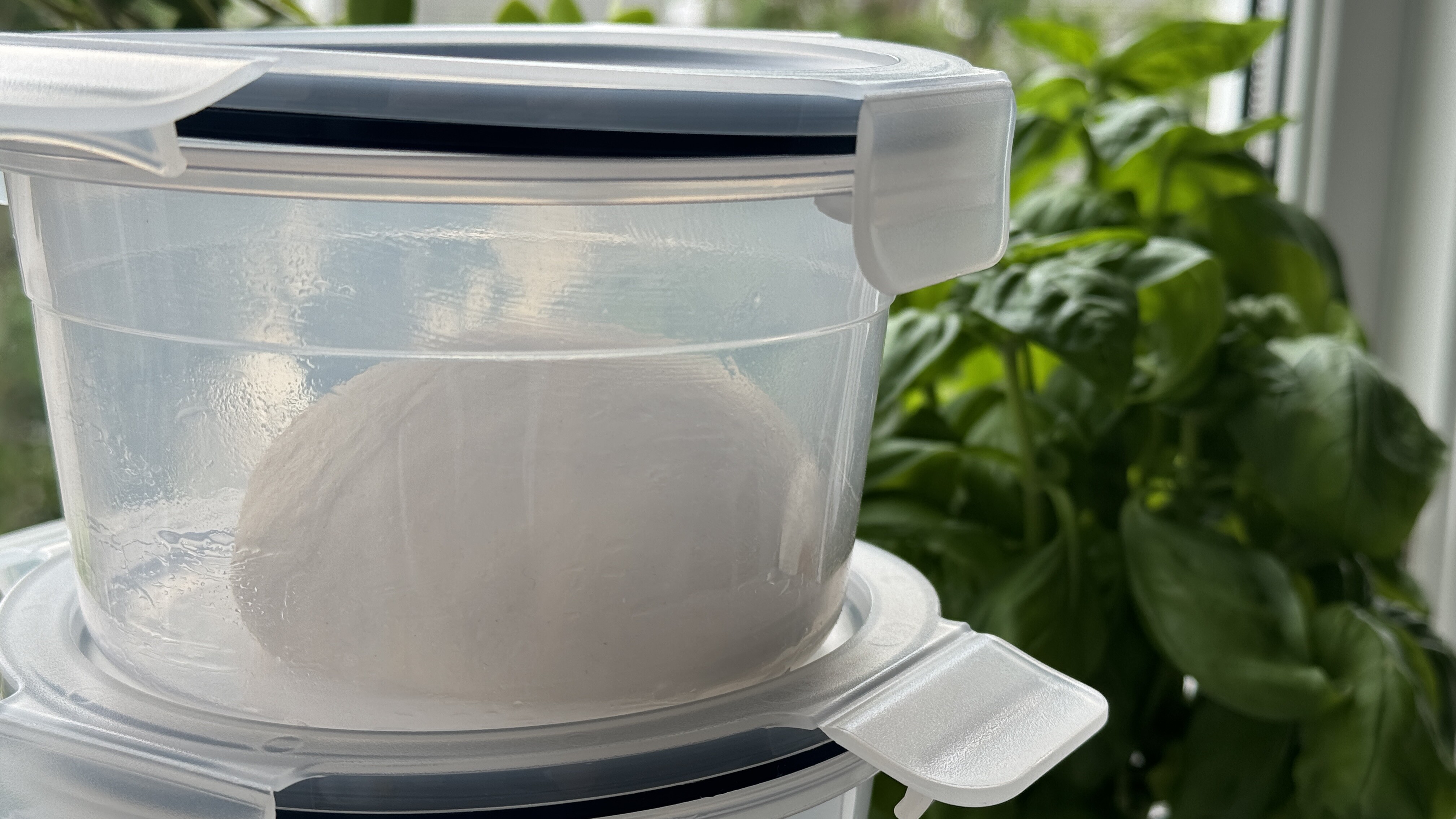 Deigemne i siste hevefase før utbaking, oppi en IKEA 365+ boks